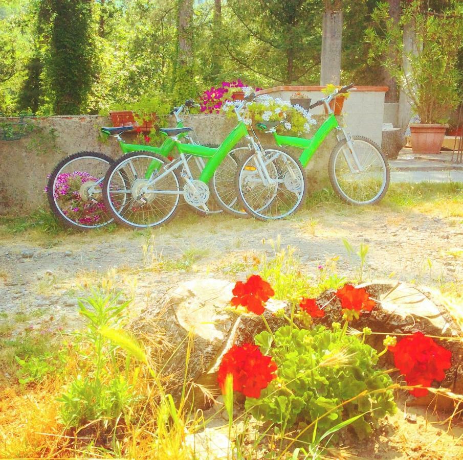 Le Apuane Guest House Mezzana  Luaran gambar